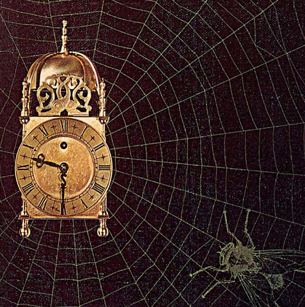 Fly | Retro Vinyl Club