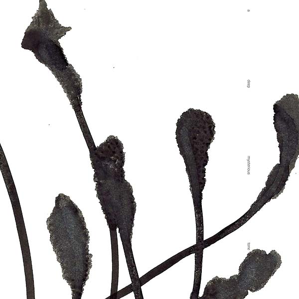 A Deep Mysterious Tone | Retro Vinyl Club