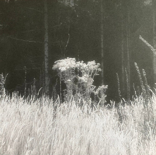 A Journey... | Retro Vinyl Club