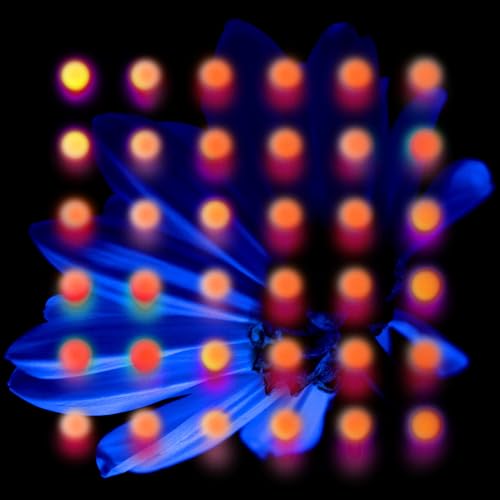 Nevertake | Retro Vinyl Club