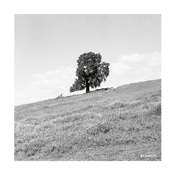 Cornered | Retro Vinyl Club