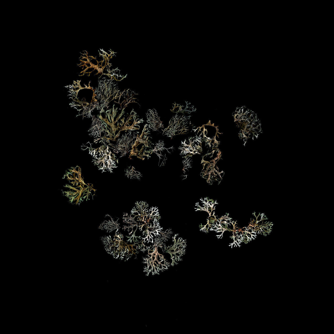 Return | Retro Vinyl Club