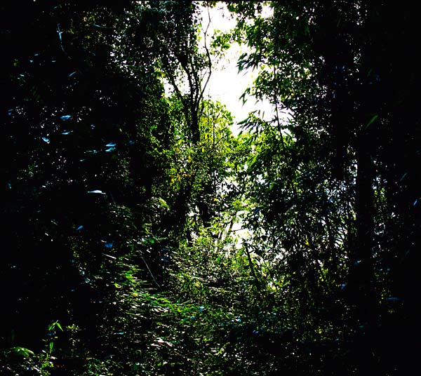 Tempatempat | Retro Vinyl Club