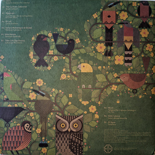 A Guide To The Birdsong Of Mexico, Central America, & The Caribbean | Retro Vinyl Club