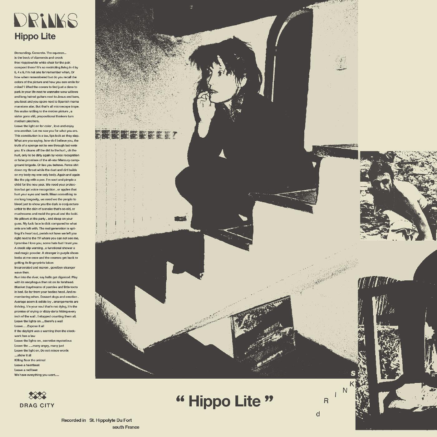 Hippo Lite | Retro Vinyl Club