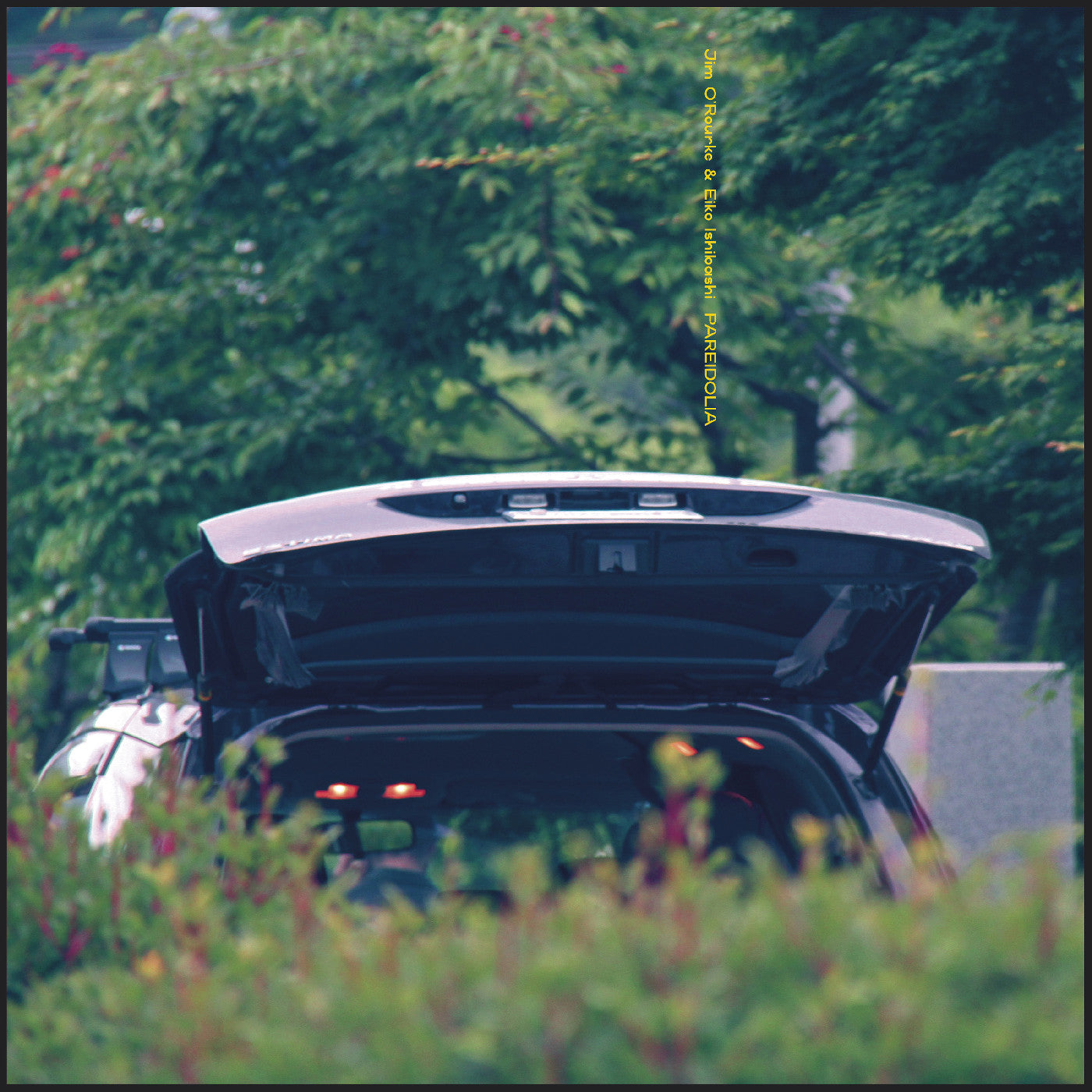 Pareidolia *PRE-ORDER 9/29/2*(VINYL) | Retro Vinyl Club