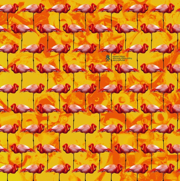 Dreamings & Offshore Drilling - Pearls And Turtles | Retro Vinyl Club