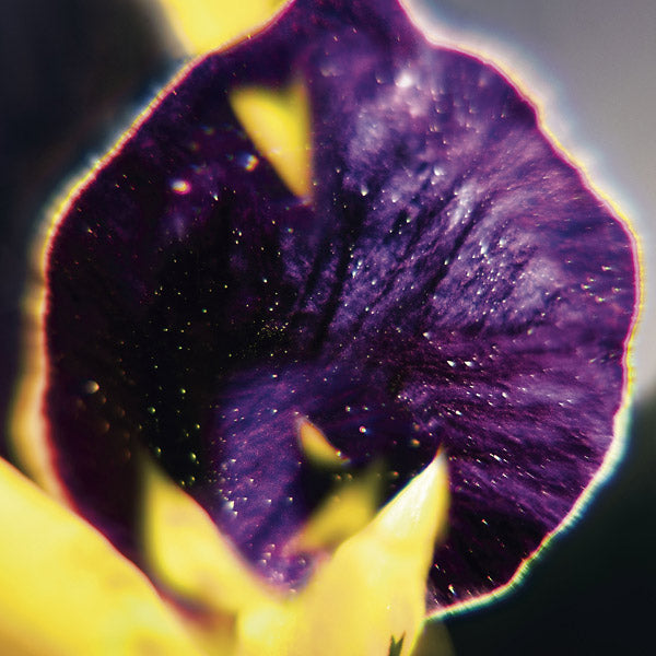 From Patterns To Details | Retro Vinyl Club