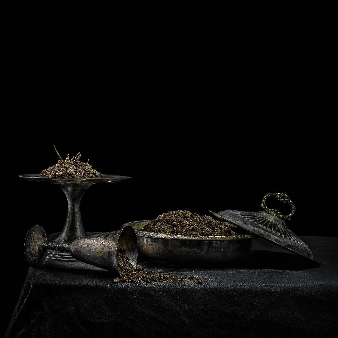 All We Have Is Never *PRE-ORDER 8/8/25*(Purple Vinyl) | Retro Vinyl Club