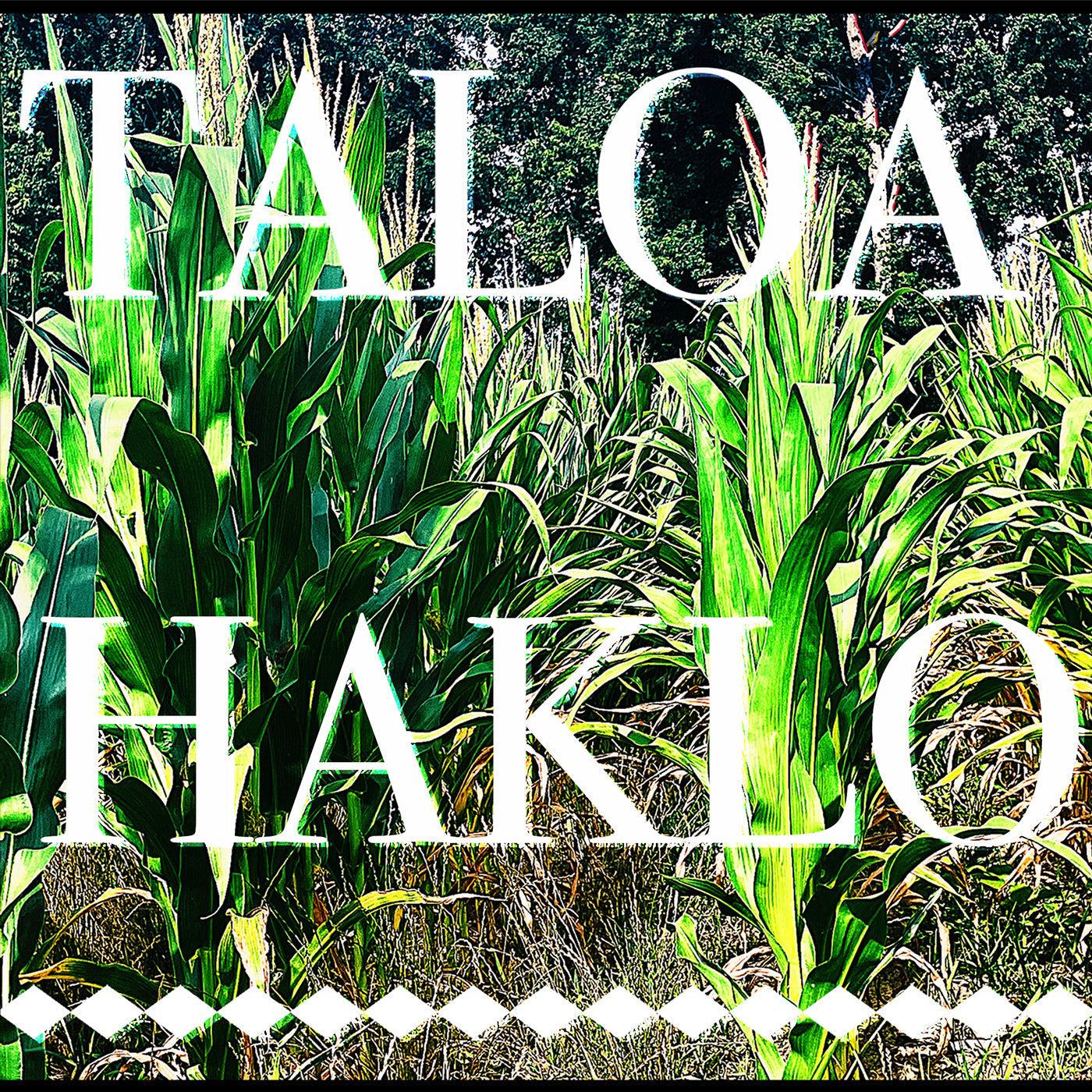Taloa Haklo | Retro Vinyl Club