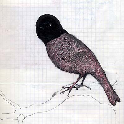 Barra Barra | Retro Vinyl Club