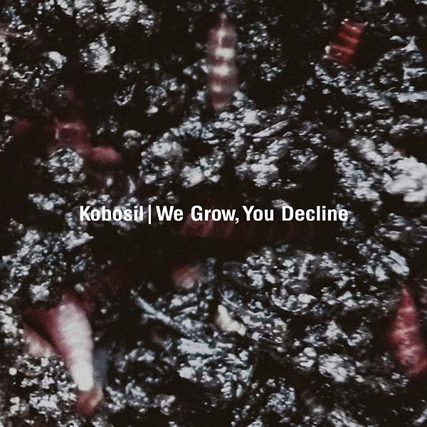 We Grow, You Decline | Retro Vinyl Club