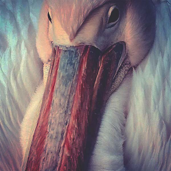 The Empire Line | Retro Vinyl Club