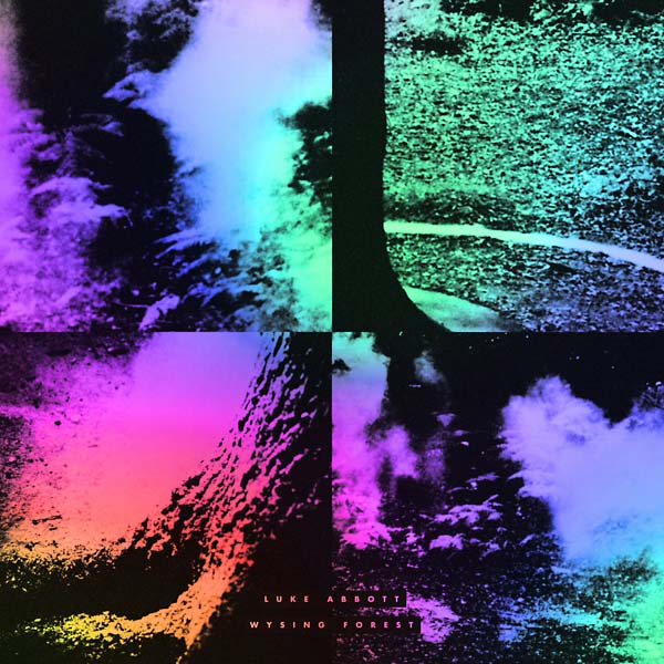 Wysing Forest | Retro Vinyl Club