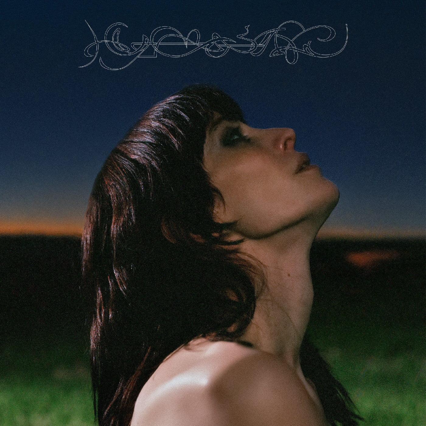 Hymnal *PRE-ORDER 6/27/25* (VINYL) | Retro Vinyl Club