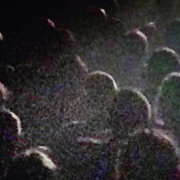 Live a La Gaite Lyrique | Retro Vinyl Club