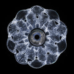 Hypnotizin EP (PRE-ORDER TBA)(VINYL) | Retro Vinyl Club