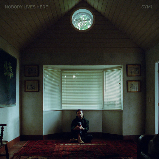 Nobody Lives Here (PRE-ORDER: 04/04/2025 / YELLOW & ORANGE VINYL) |   Retro Vinyl Club