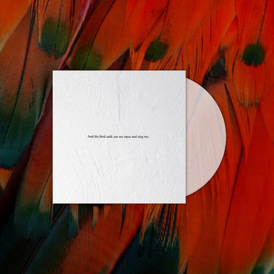 And the Bird Said: Cut Me Open and Sing Me | Retro Vinyl Club