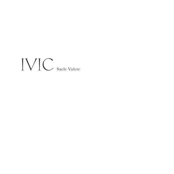IVIC | Retro Vinyl Club