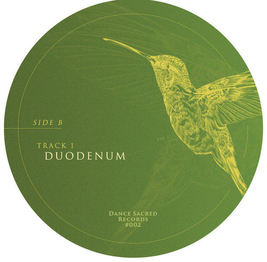 Anatomy E.P. | Generic Retro Vinyl Club