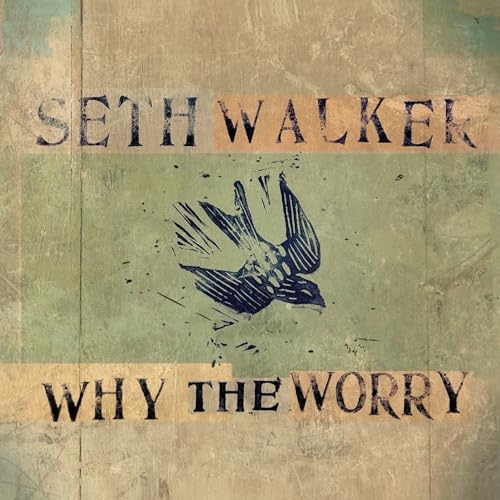 Why The Worry | Retro Vinyl Club