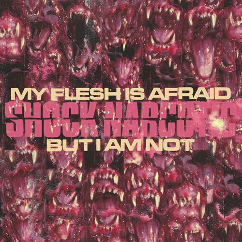 My Flesh Is Afraid But I Am Not *PRE-ORDER 7/18/25* (VINYL) | Retro Vinyl Club