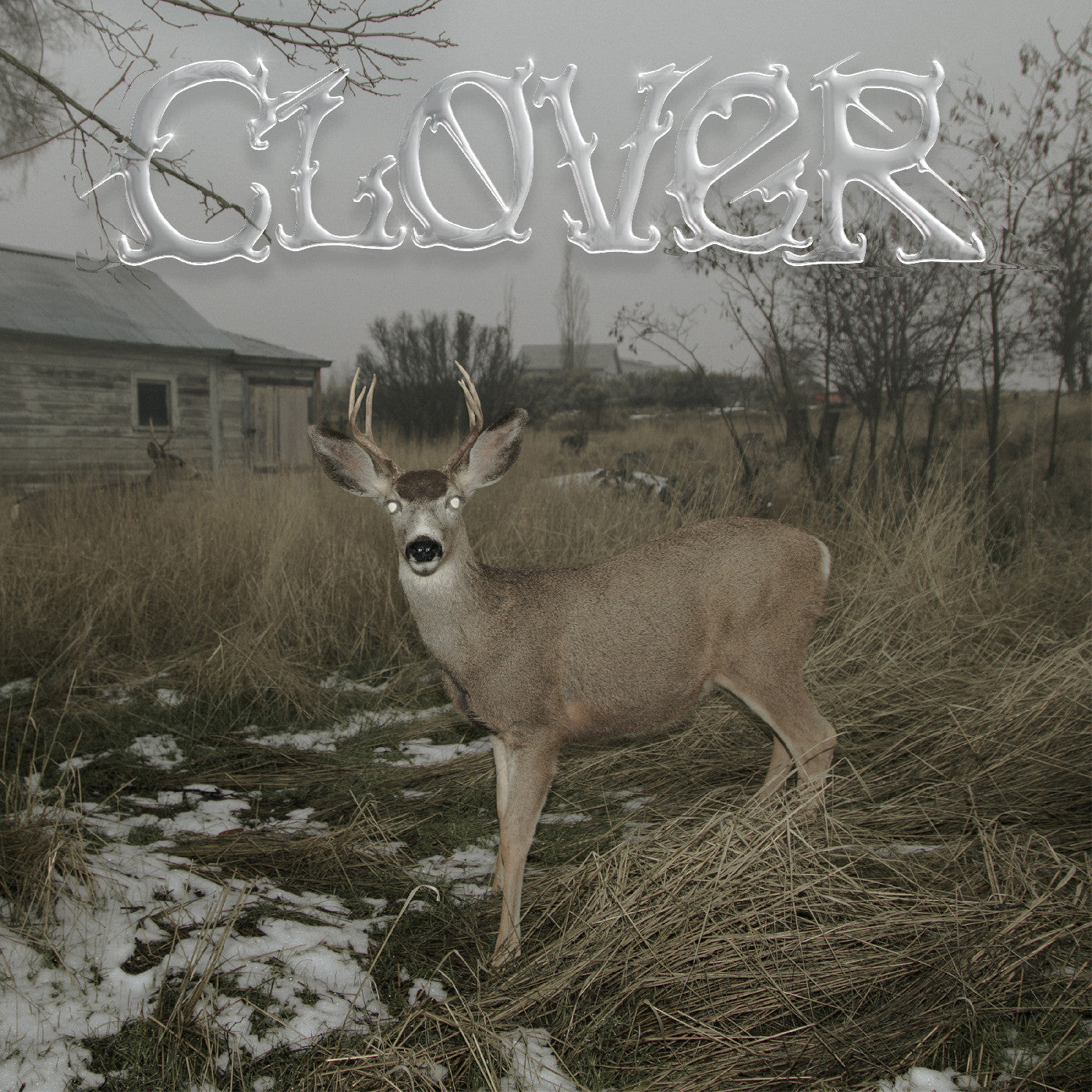 Clover (White Cassette) | Retro Vinyl Club
