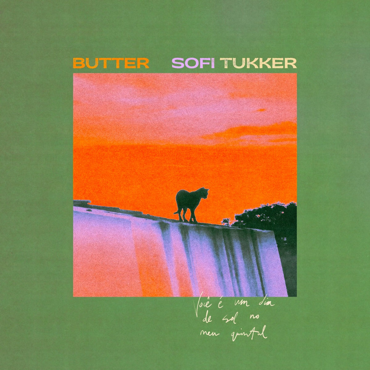 Butter (PRE-ORDER 8/22/25)(LP) | Retro Vinyl Club