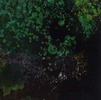 Breed in Me the Darkness | Retro Vinyl Club