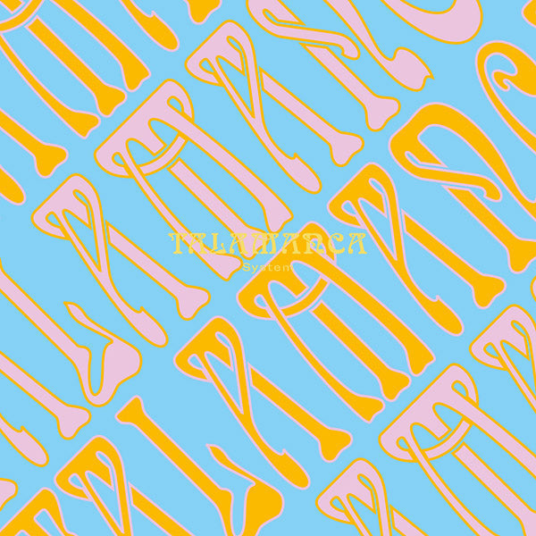 Talamanca System | Retro Vinyl Club