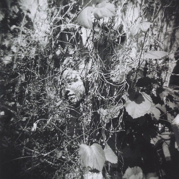 Now Is The Last Best Time | Retro Vinyl Club