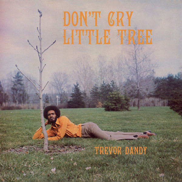 Don't Cry Little Tree | Retro Vinyl Club