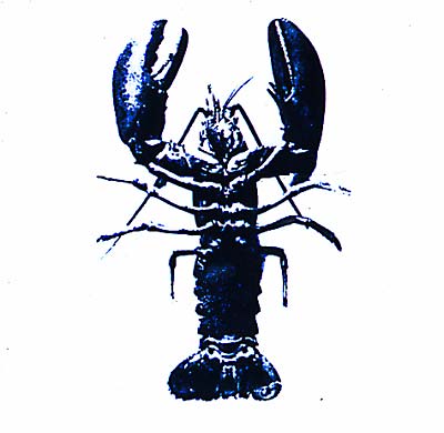 Double Articulation: Folds & Rhizomes Remix Project | Retro Vinyl Club