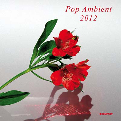 Pop Ambient 2012 | Retro Vinyl Club