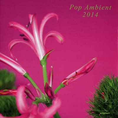 Pop Ambient 2014 | Retro Vinyl Club