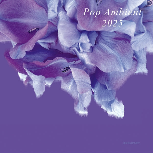 Pop Ambient 2025 | Retro Vinyl Club
