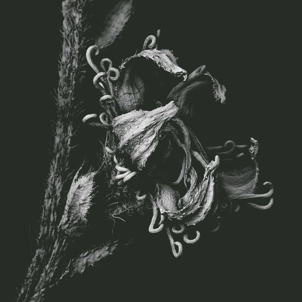 1982 | Retro Vinyl Club