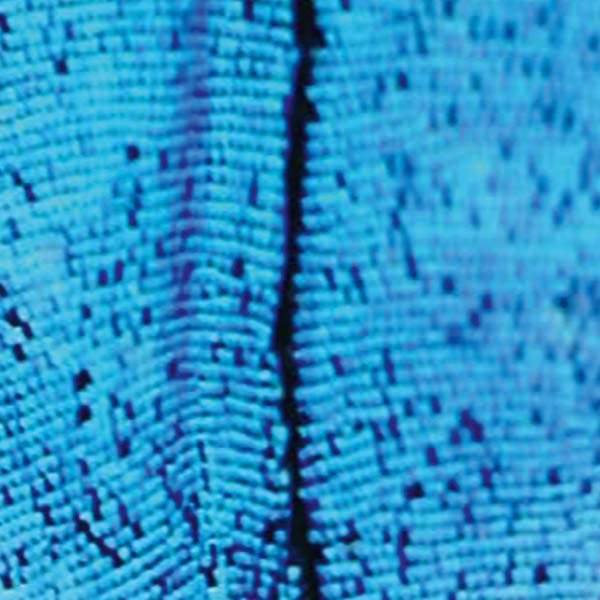 The New Today | Retro Vinyl Club