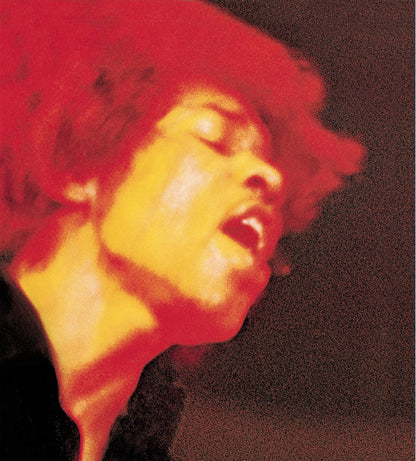 The Jimi Hendrix Experience Electric Ladyland - 2 x 180 GRAM VINYL LP SET USA ISSUE