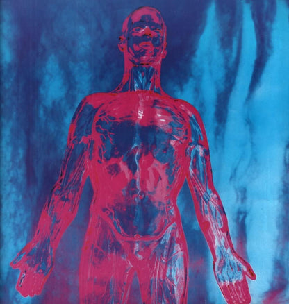 Nirvana Sliver - VINYL 12" -ORIGINAL ISSUE