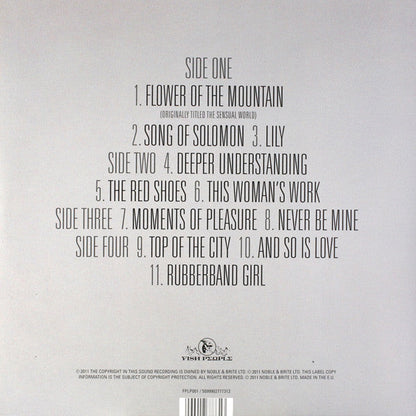 Kate Bush Director's Cut - 2 x VINYL LP SET ORIGINAL ISSUE