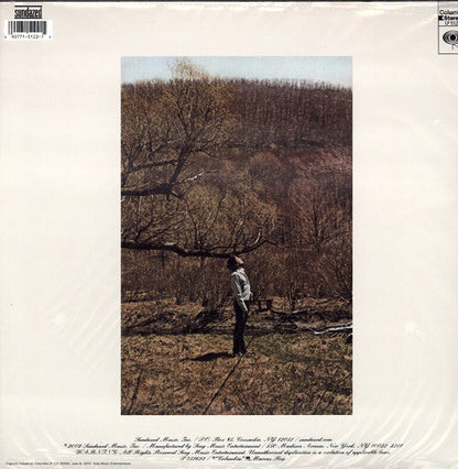 Bob Dylan Self Portrait - 2 x VINYL LP SET