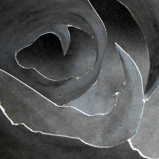 I Am Life | Retro Vinyl Club