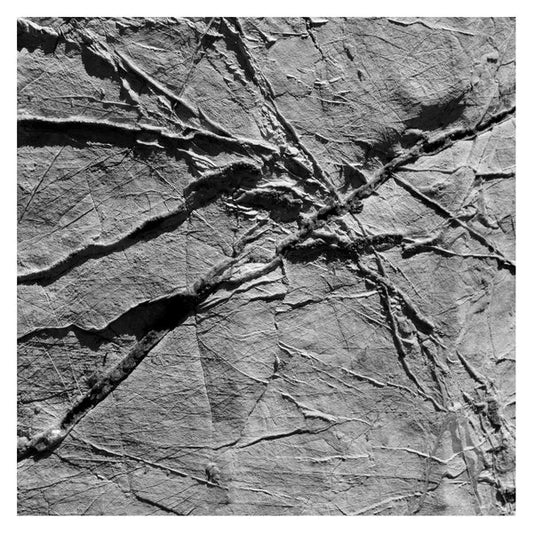 Arachnesound | Retro Vinyl Club