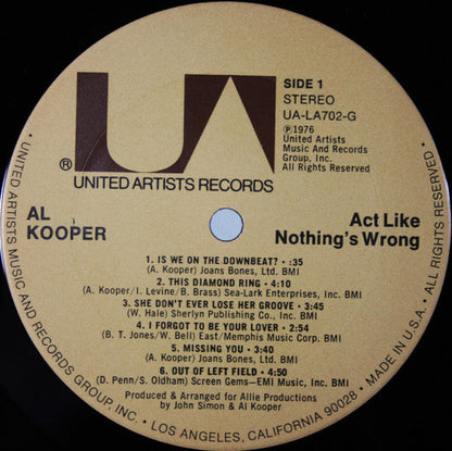 Act Like Nothing's Wrong | Near Mint (NM) Very Good Plus (VG+) Retro Vinyl Club