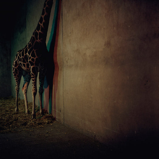 Alien Ensemble 2 | Retro Vinyl Club