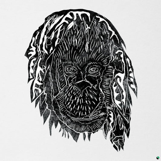 Raise The Ark | Retro Vinyl Club