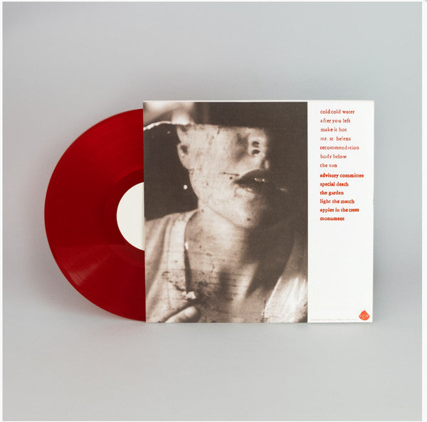 Advisory Committee |   Retro Vinyl Club