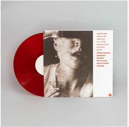 Advisory Committee |   Retro Vinyl Club